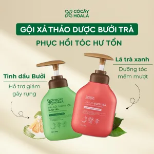 Alternative view of Combo Gội Xả Thảo Dược Bưởi Trà 350g