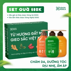 Set 2: Combo Gội xả Gừng Sả + Sữa tắm Gừng Nghệ