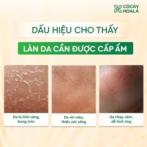 Alternative view of Toner Đậu đỏ Cỏ Cây Hoa Lá 150g